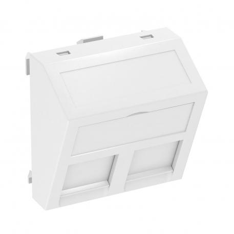 Data technology support, 1 module, slanting outlet, type A Pure white; RAL 9010