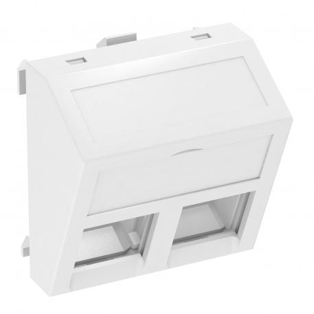 Data technology support, 1 module, slanting outlet, type C, without dust protection slider Pure white; RAL 9010