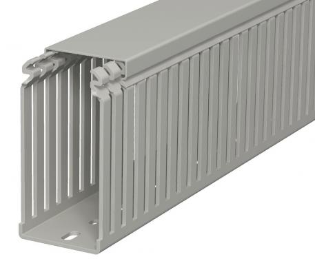 Wiring trunking, type LKV 10050 2000 | 50 | 100 | Base perforation | Stone grey; RAL 7030